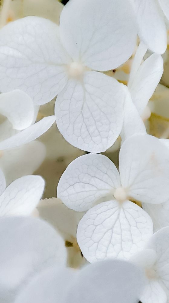 Photograph by Людмила Сергеева