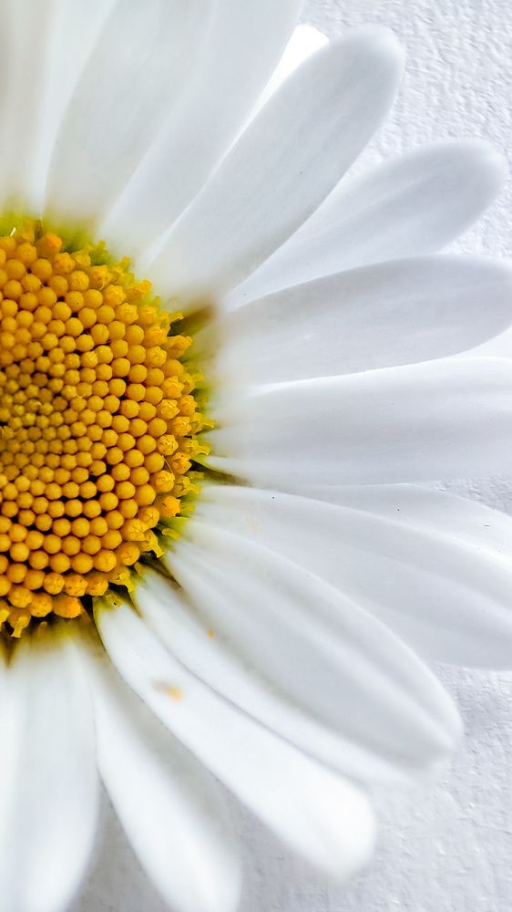 Photograph by Людмила Сергеева