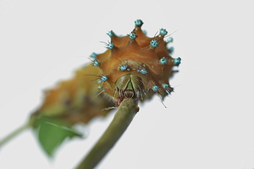 Photograph by Александр Челмодеев