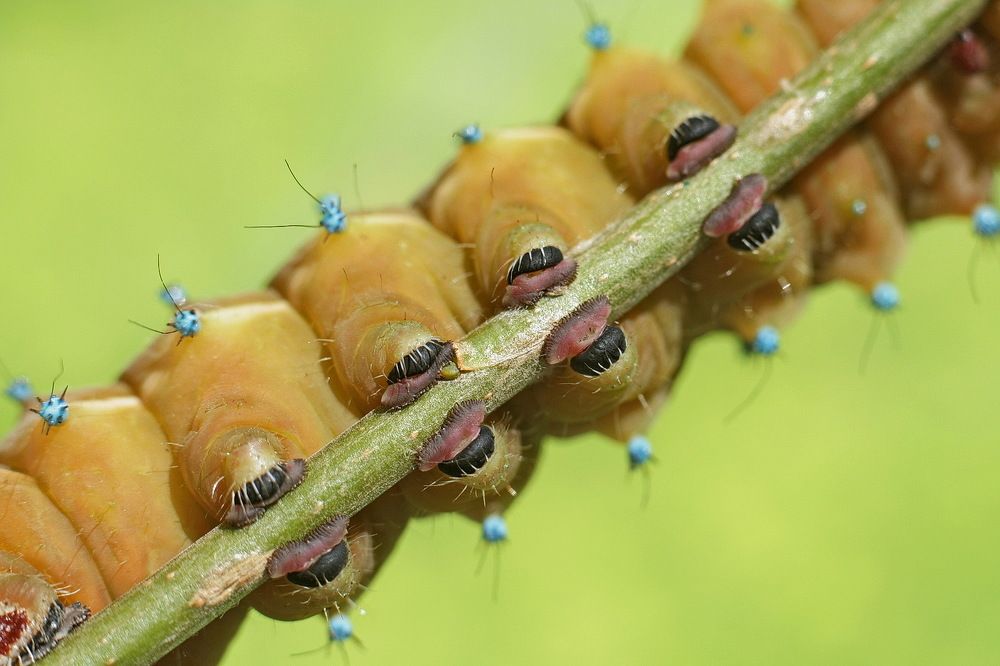 Photograph by Александр Челмодеев