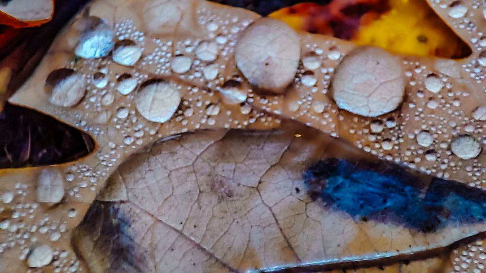 Photograph by Людмила Сергеева