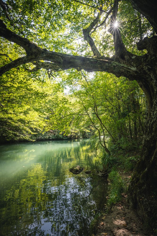 Photograph by Дмитров Андрей