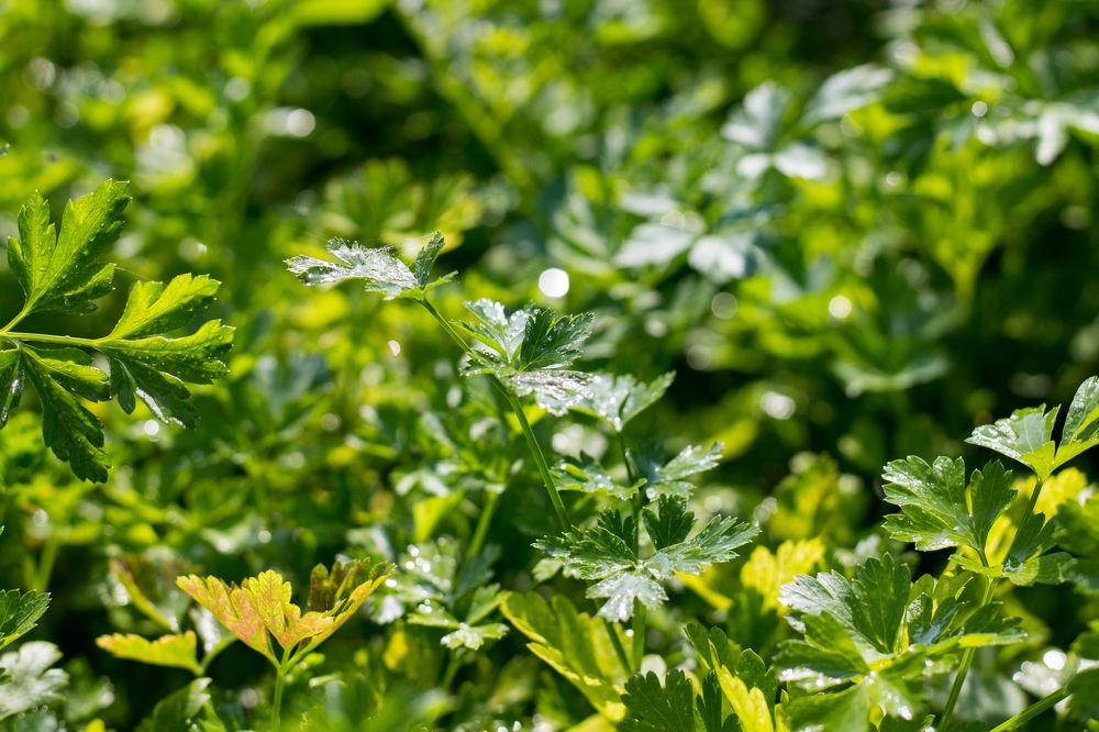 Фотография автора Дарья Рогозина