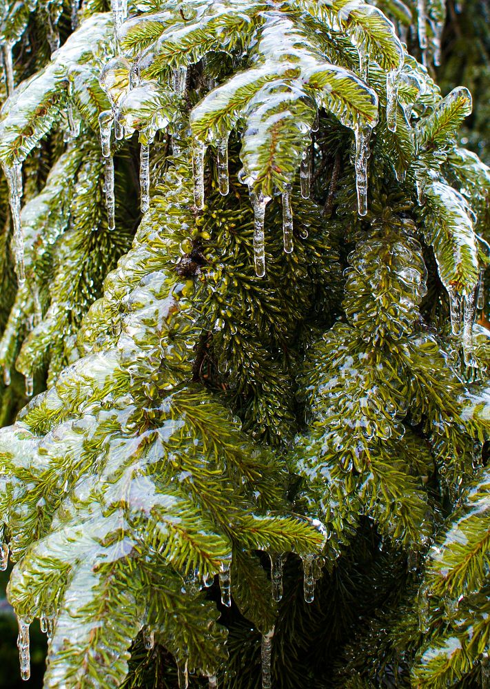 Photograph by Валерий Одинцов