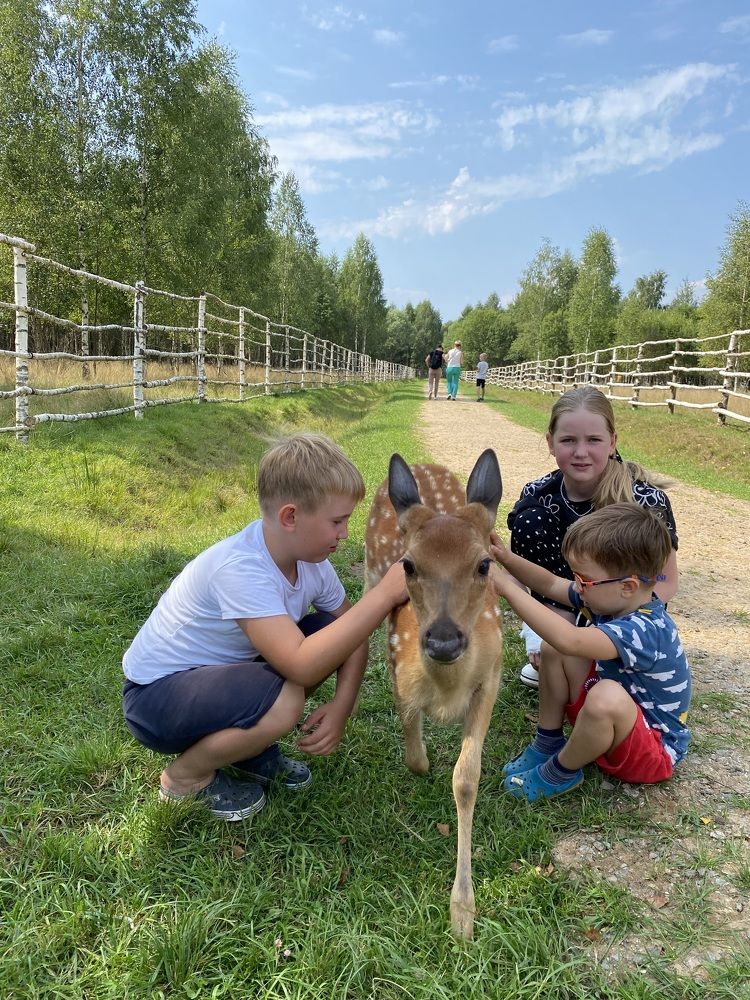 Photograph by Светлана Ионова