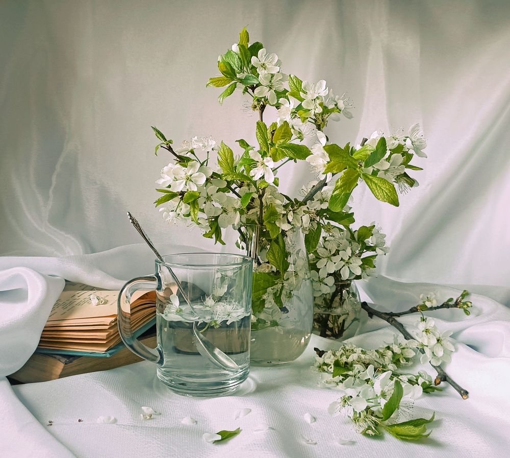 Фотография автора Татьяна Антонова