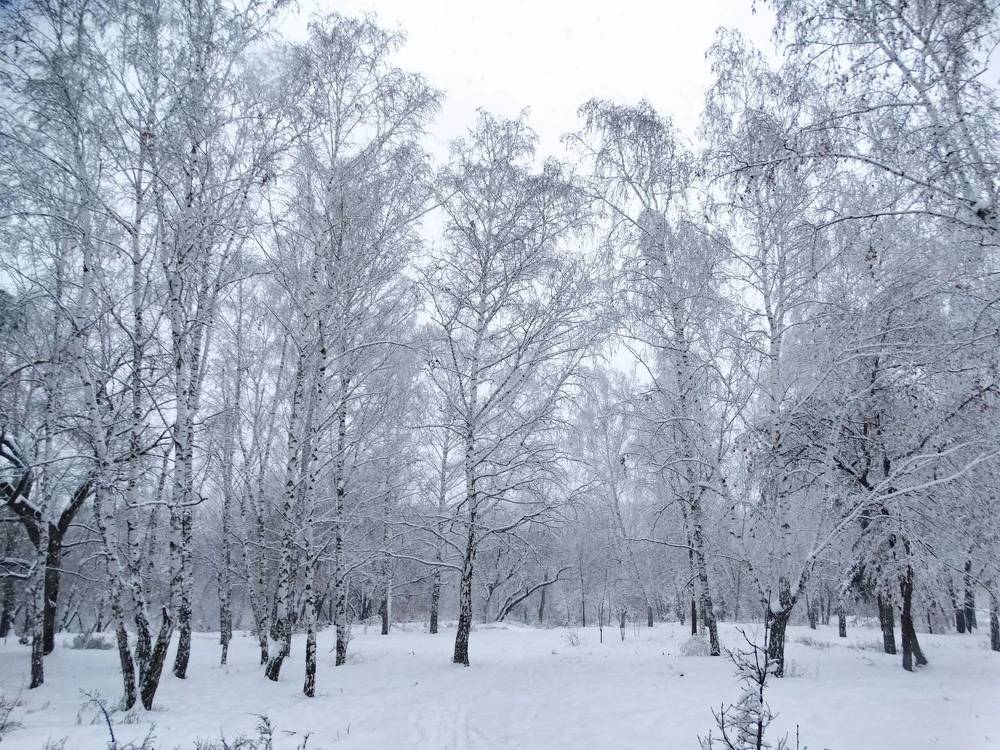 Photograph by Анжелика Трошина