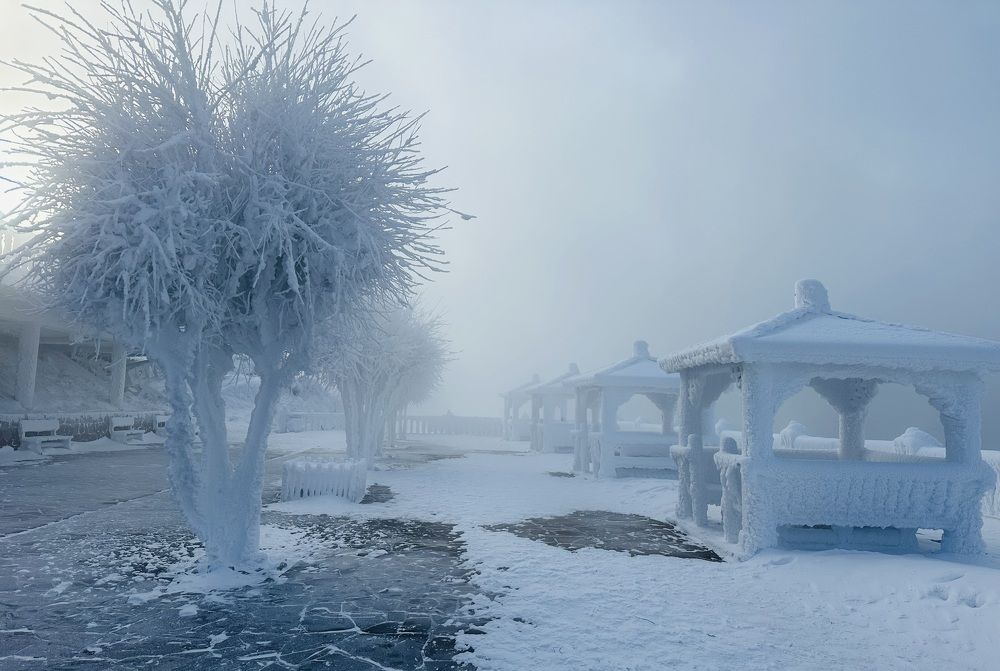 Photograph by Zakhar Lopatin