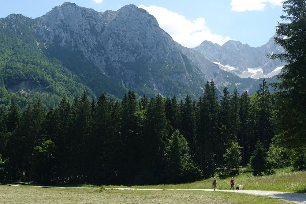 Photograph by jelena konickaja