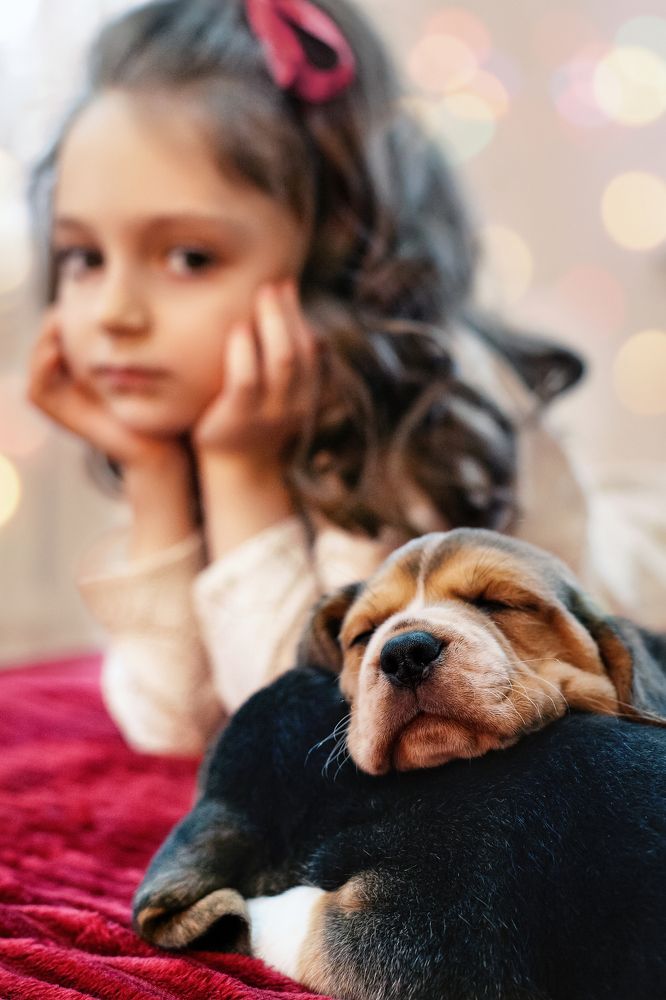 Photograph by Елизавета Можельская