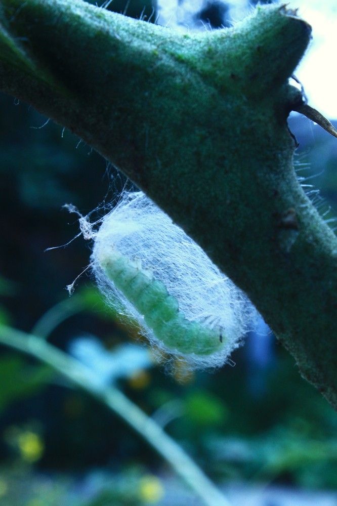 Photograph by Кира Иванова