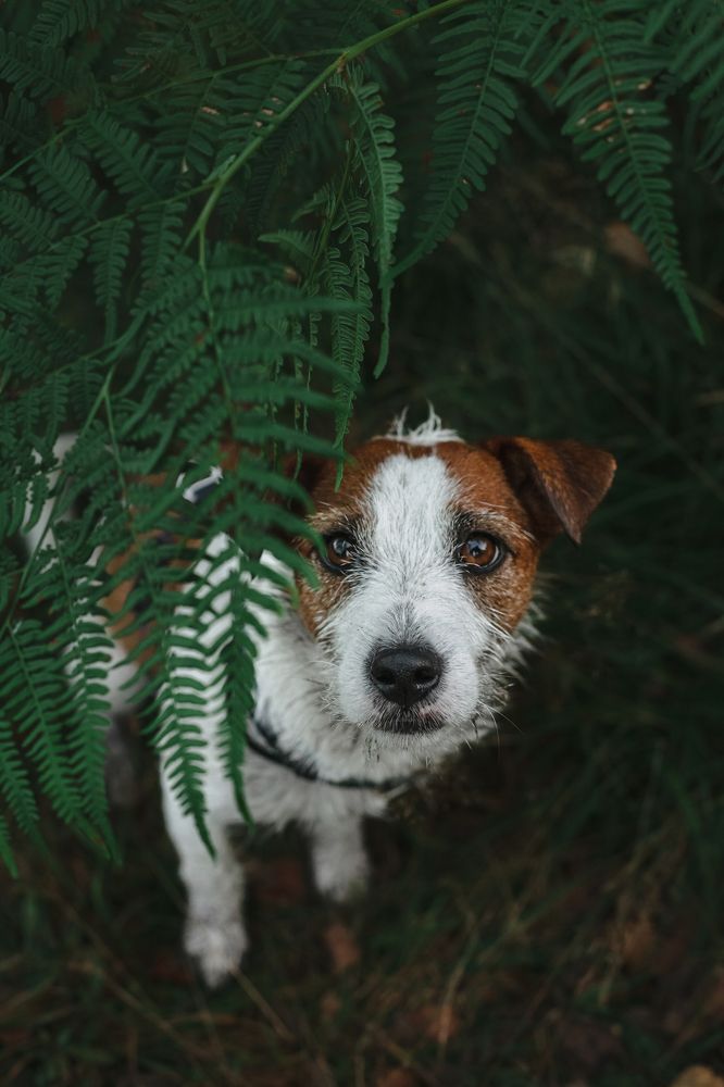 Photograph by Татьяна Степанова