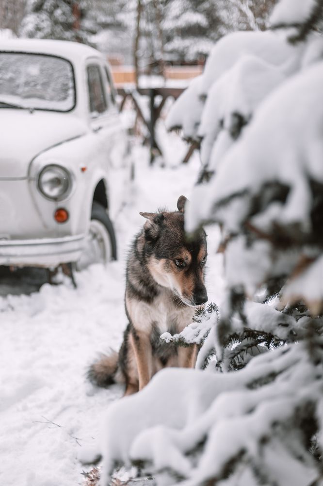 Photograph by Татьяна Степанова