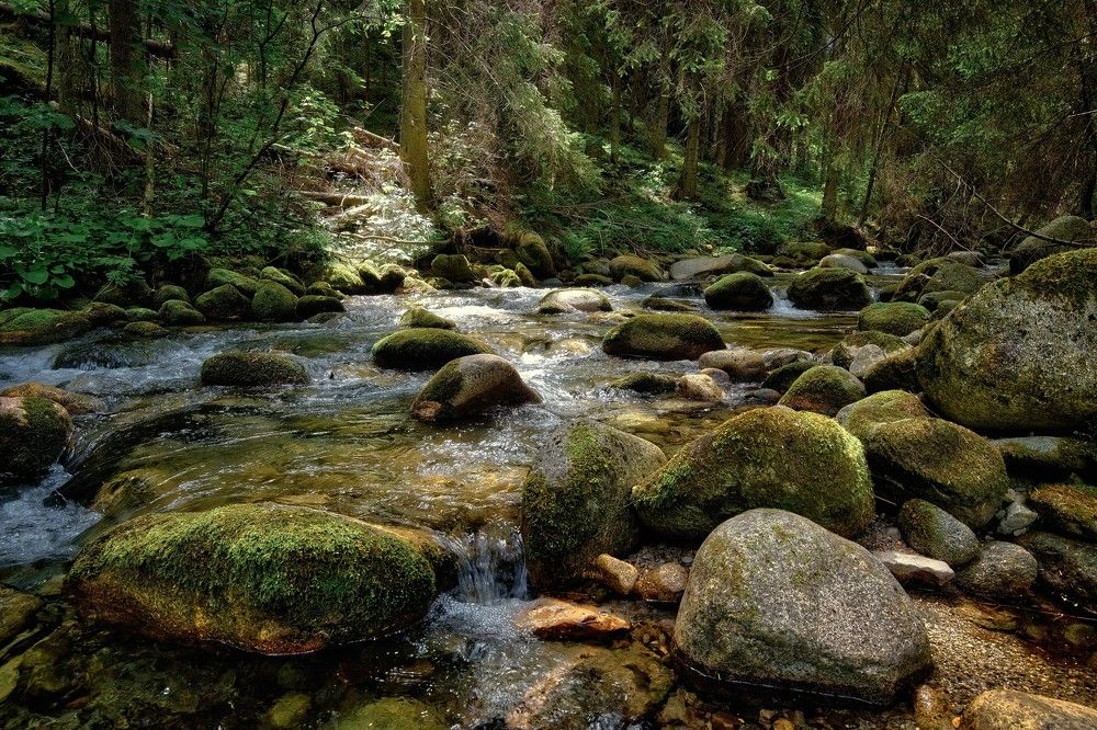 Photograph by Janis Serdienis