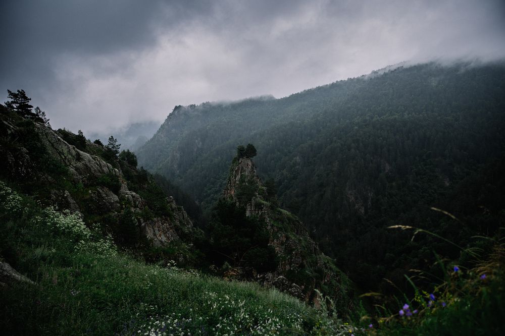 Photograph by Мария Раздорова