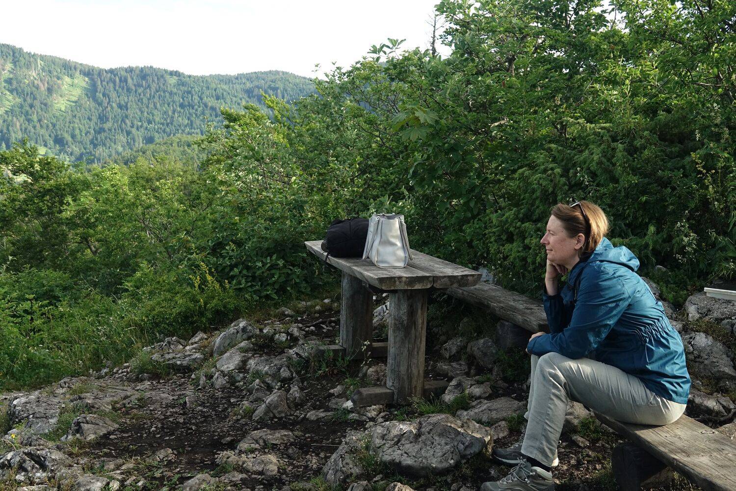 Photo #11405443