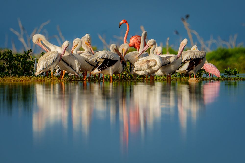 Photograph by Miguel Diaz