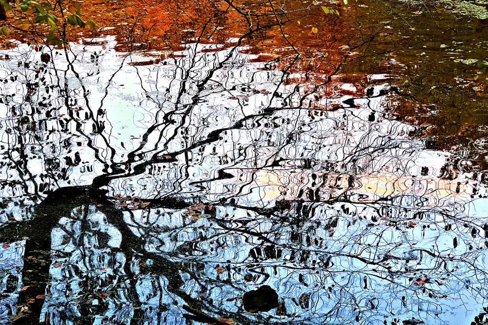 Фотография автора Marija Krumes