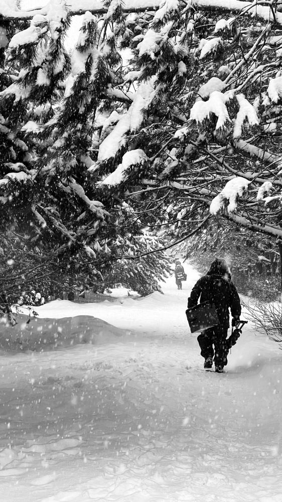 Photograph by Вера Сорокина