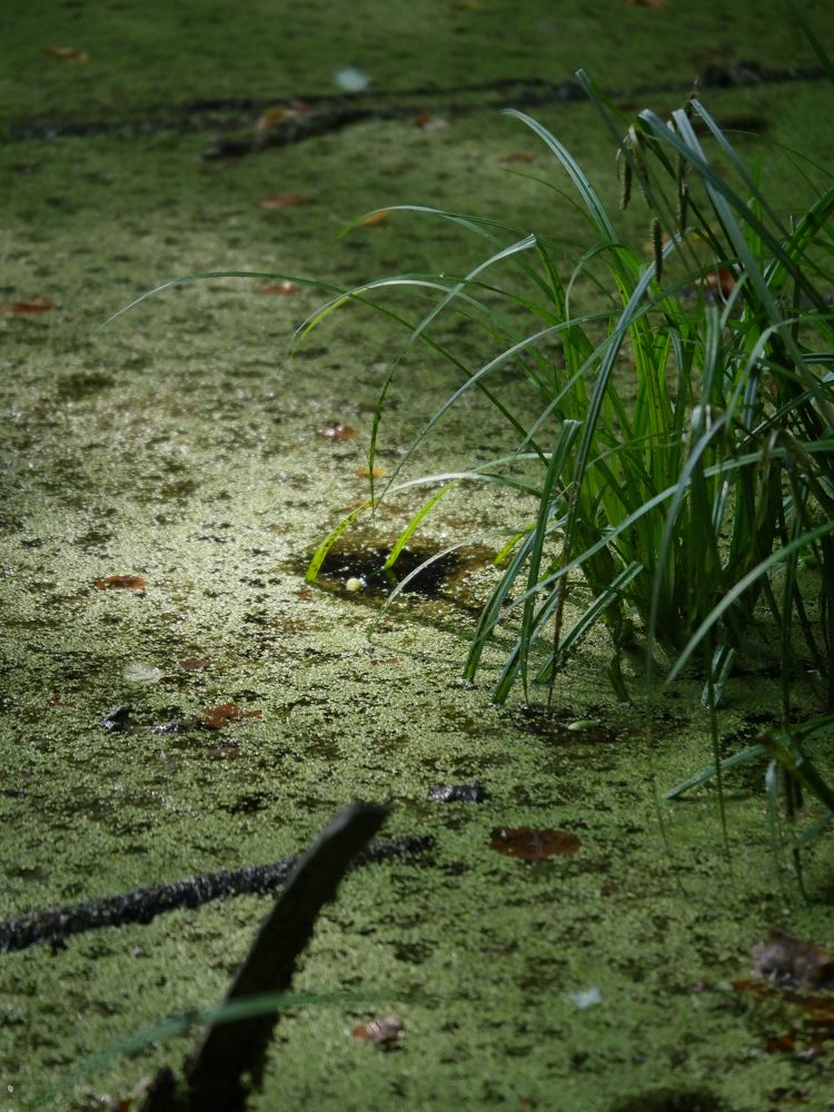 Photograph by ИуИлЪ T @EyEL_xxx