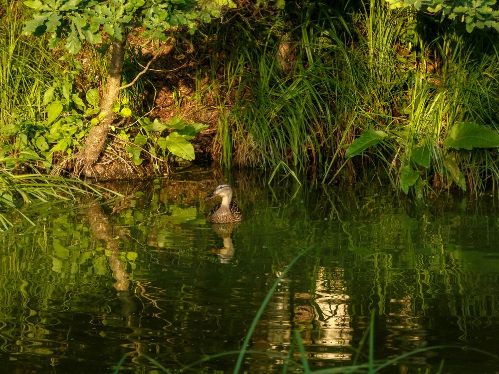 Photograph by Наталья Колеватова