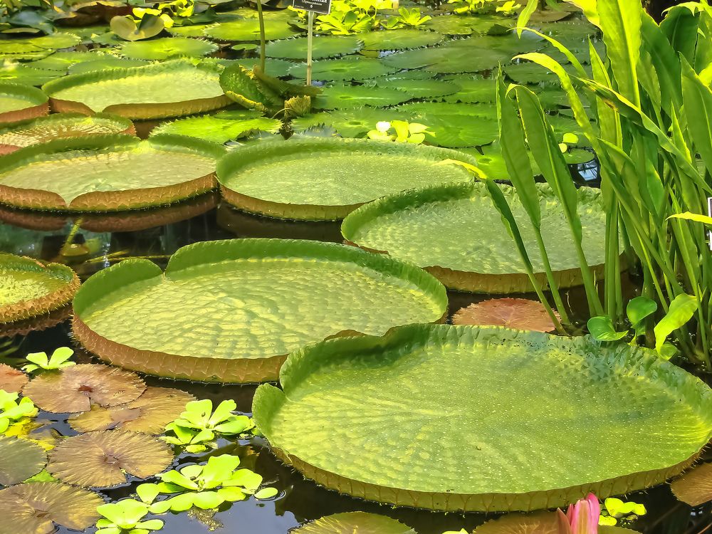 Photograph by Наталья Колеватова