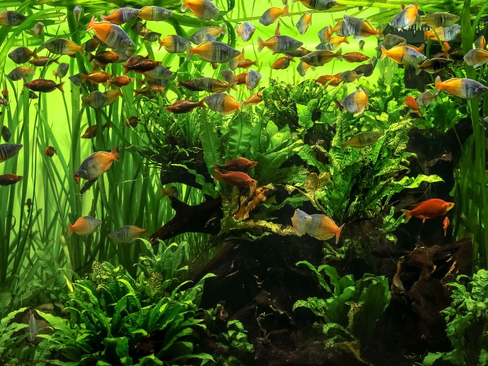 Photograph by Наталья Колеватова