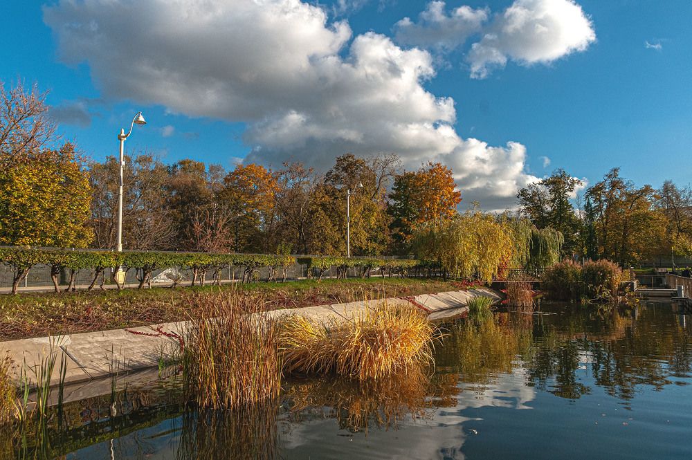 Photograph by Vladimir  Komarov