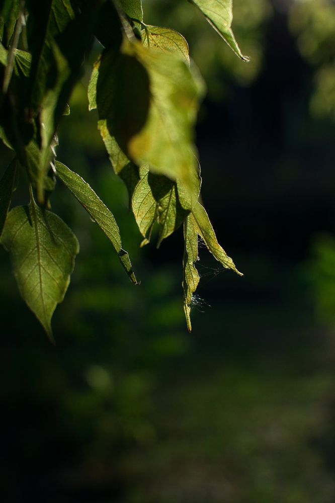 Photograph by Татьяна Псенкова