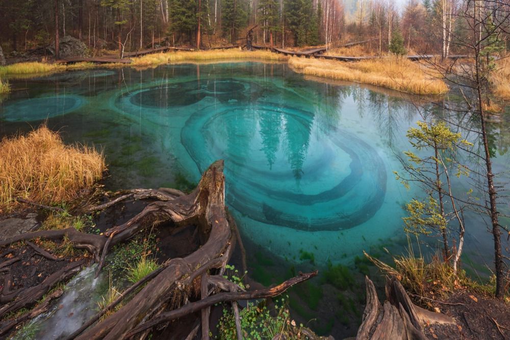 Photograph by Крицак Ольга