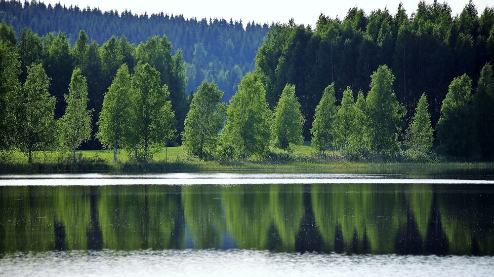 Photograph by Николай Раппу