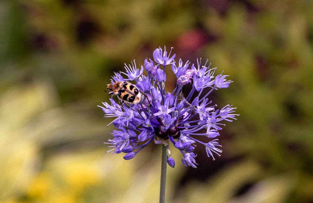 Photograph by Сергей Аникушин