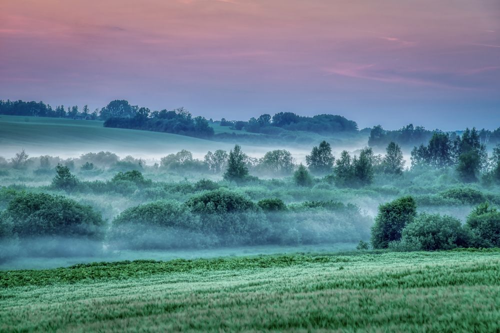 Photograph by Albina Kulikova