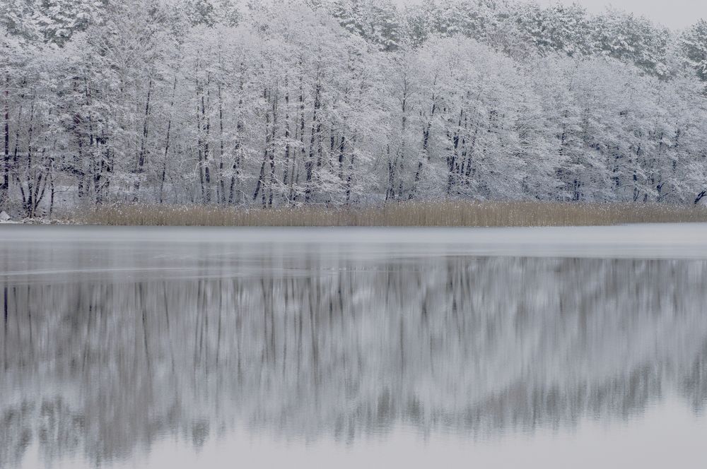 Photograph by Елена Кошелева