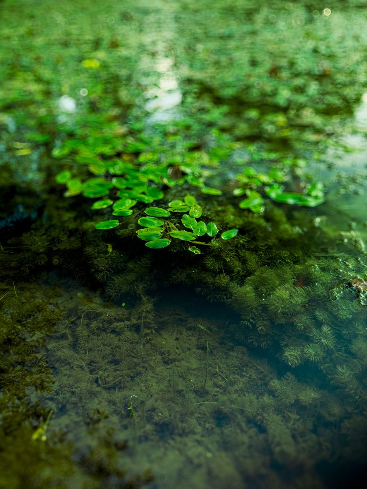 Photograph by Денис Нарышев