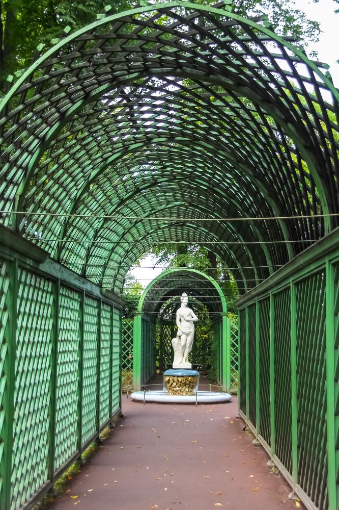 Photograph by Наталья Колеватова