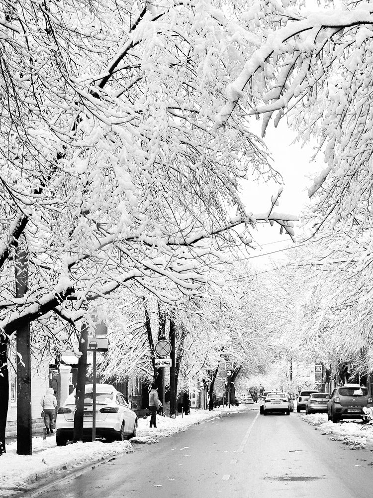 Photograph by Екатерина Анпилова