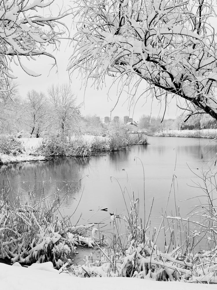 Photograph by Екатерина Анпилова