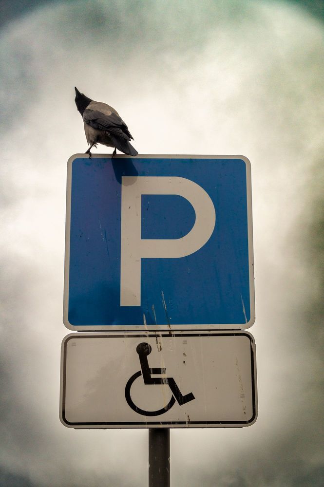 Фотография автора Евгений Шубин