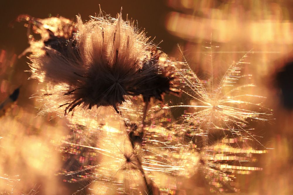 Фотография автора Inga Ivanova