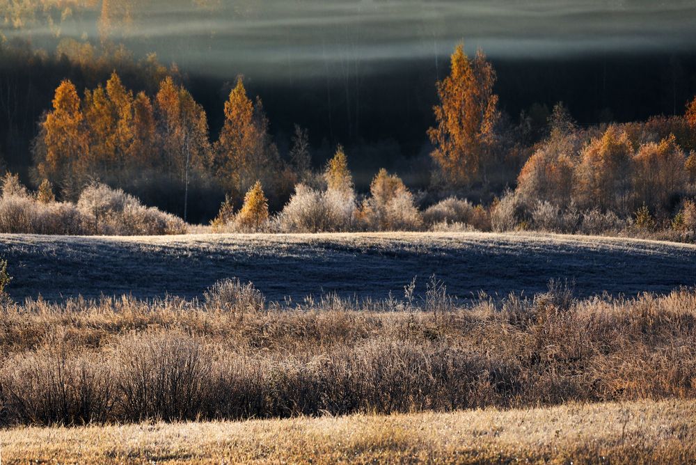 Фотография автора Inga Ivanova