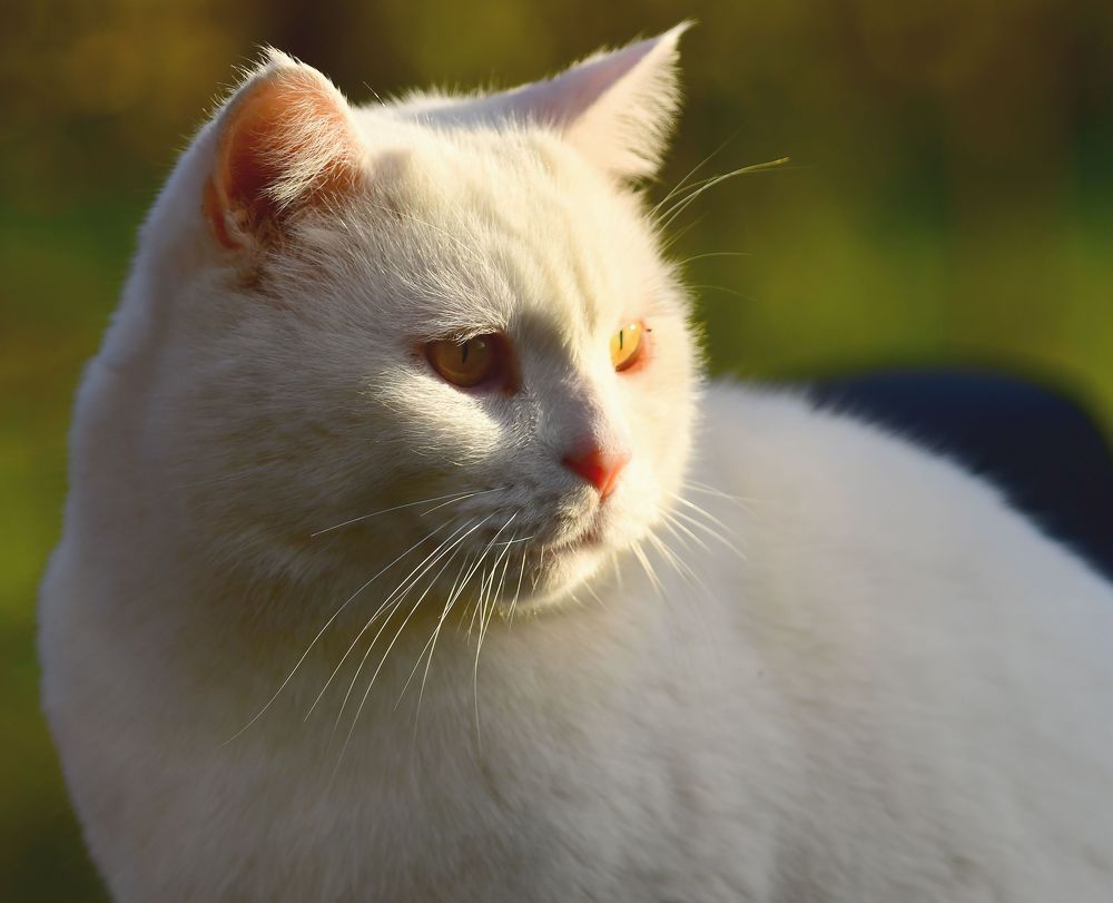 Photograph by Николай Абакумов