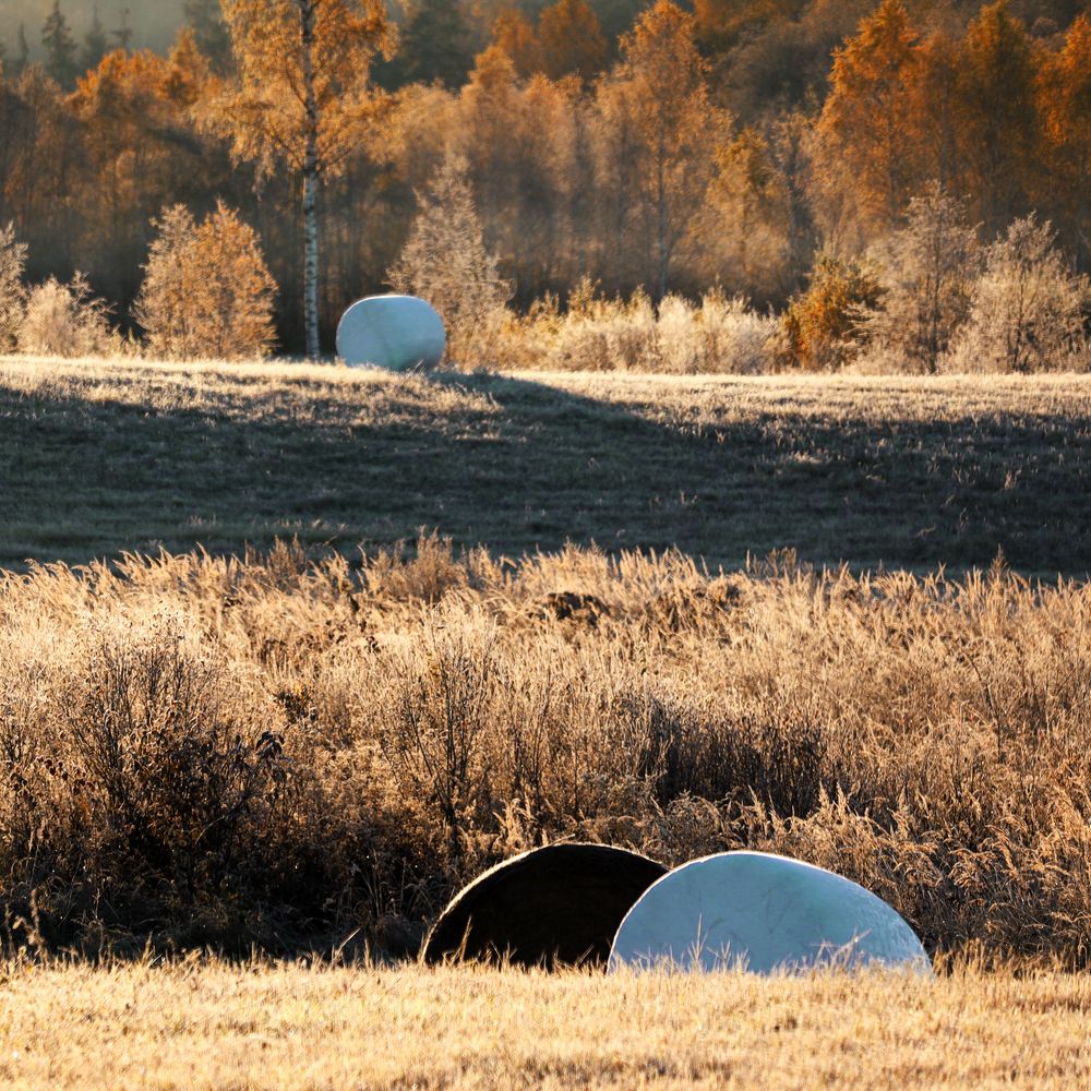 Фотография автора Inga Ivanova