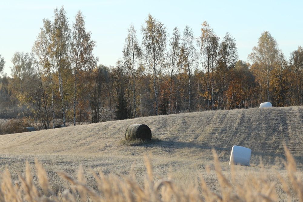 Фотография автора Inga Ivanova