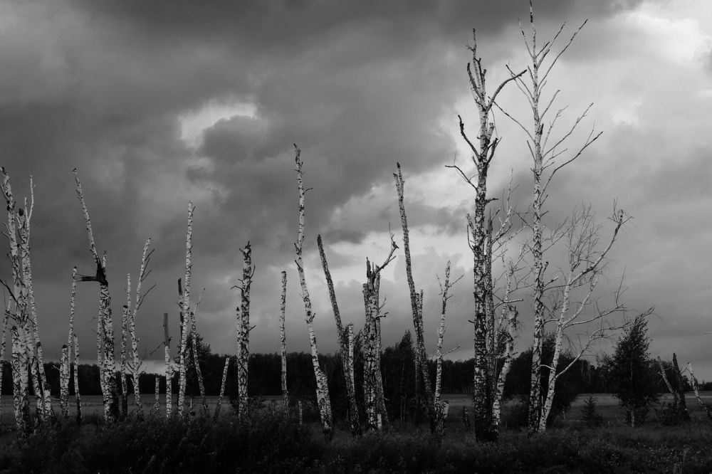 После наводнения