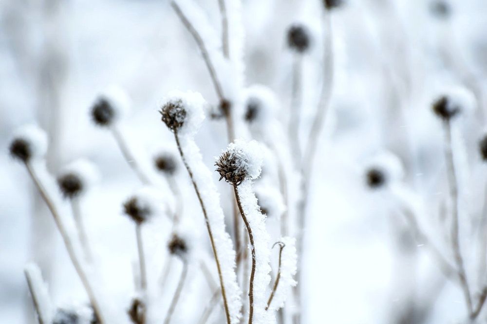 Photograph by Irina Luidinshina