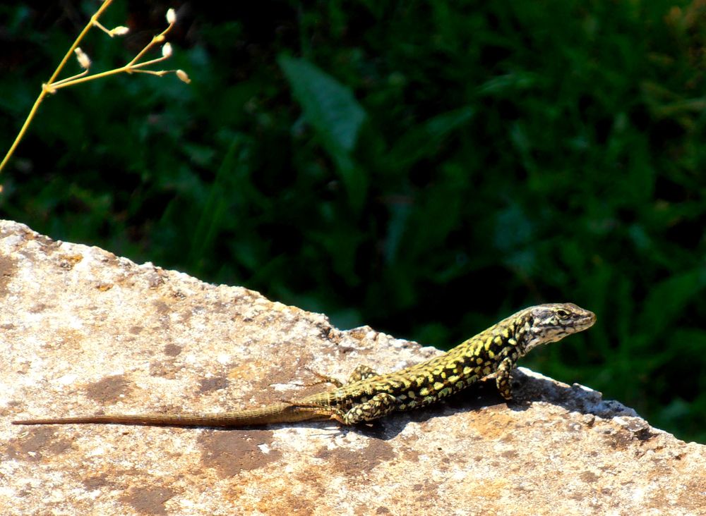 Photograph by Olga Kot