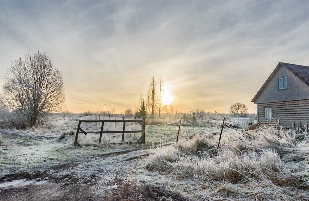 Фотография автора Мария Рохмистрова