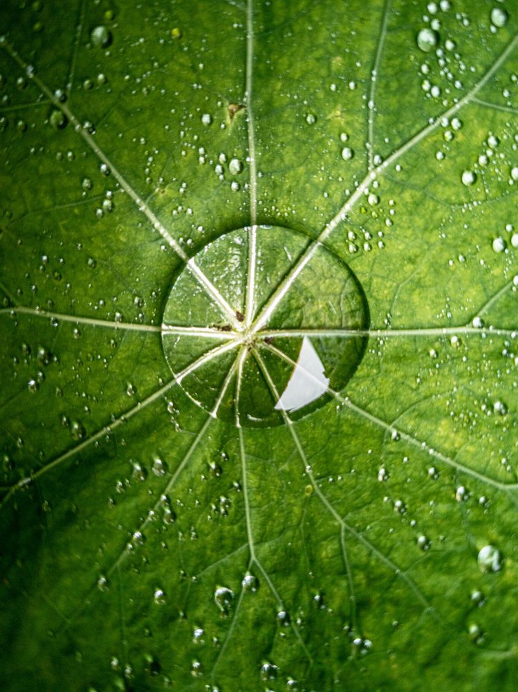 Photograph by Irina Tischer