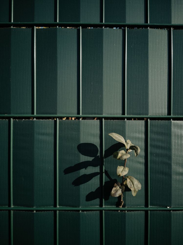 Photograph by Irina Tischer